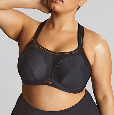 Panache No Wire Sports Bra 7341 Black Back View